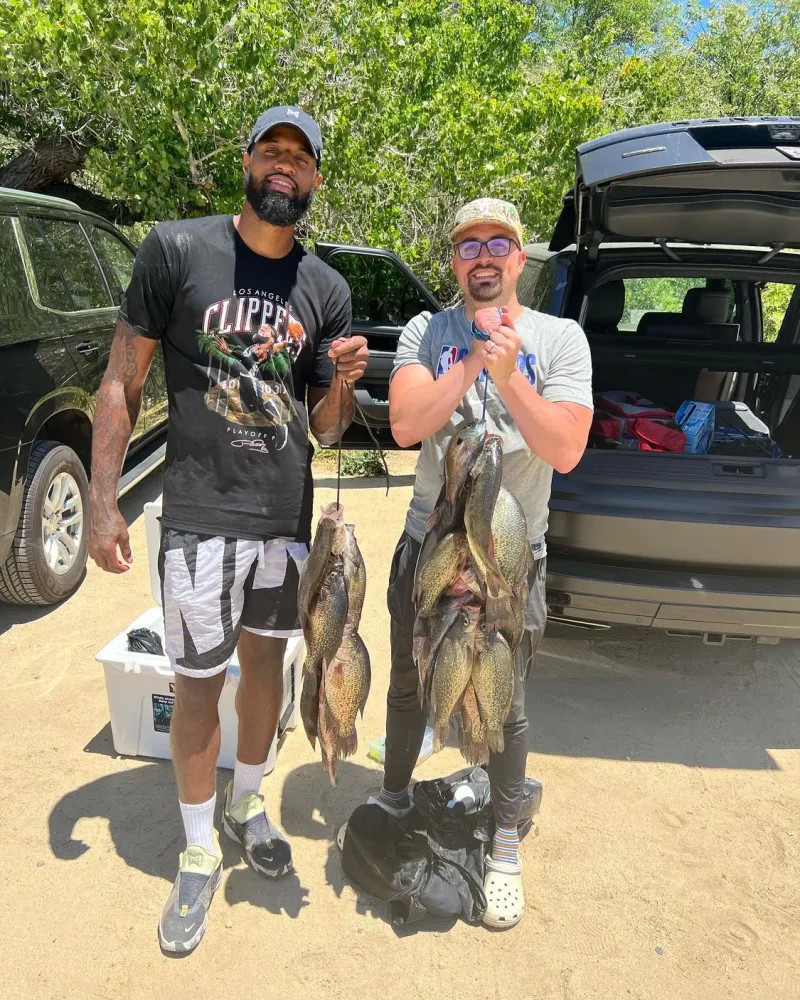 惊人的进球 惊人的进球