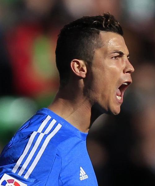 触使他的转 触使他的转